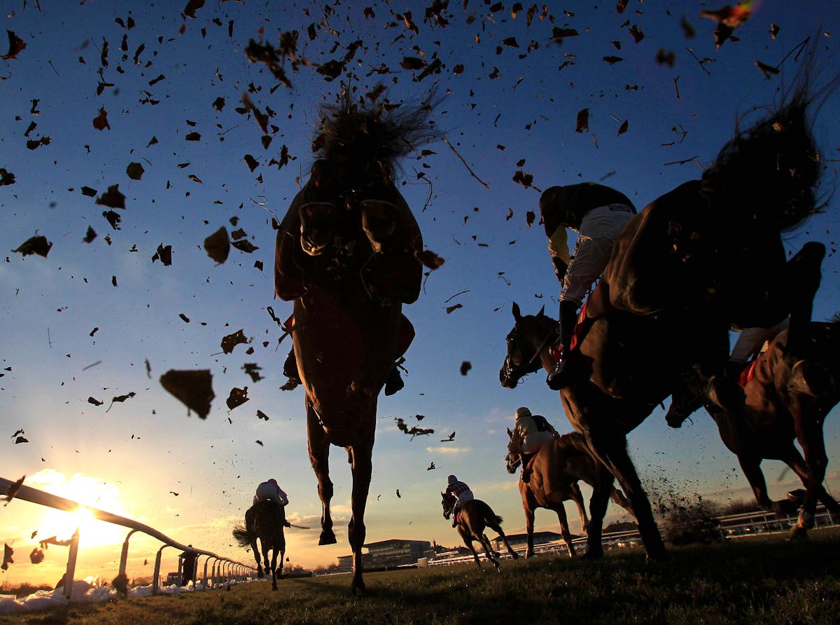 A punter’s guide to horse racing bets and how they work